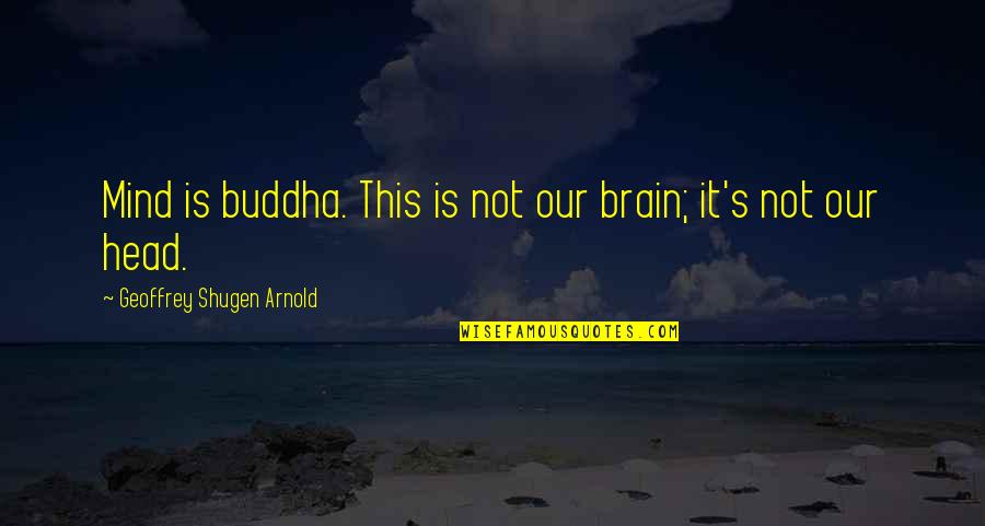 Buddha's Brain Quotes By Geoffrey Shugen Arnold: Mind is buddha. This is not our brain;