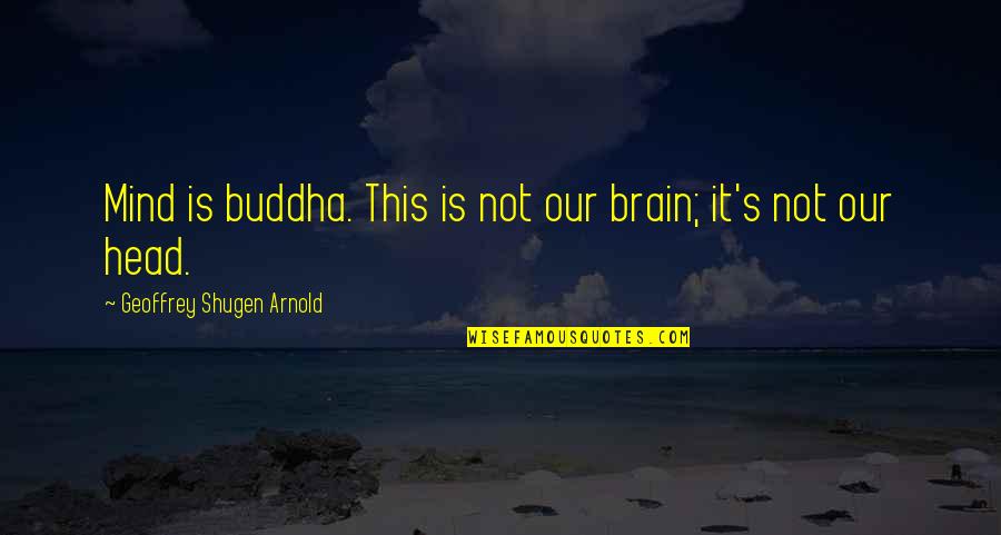 Buddha's Quotes By Geoffrey Shugen Arnold: Mind is buddha. This is not our brain;