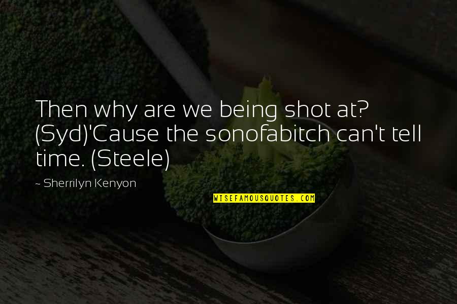 Buddhiman Vayakti Quotes By Sherrilyn Kenyon: Then why are we being shot at? (Syd)'Cause