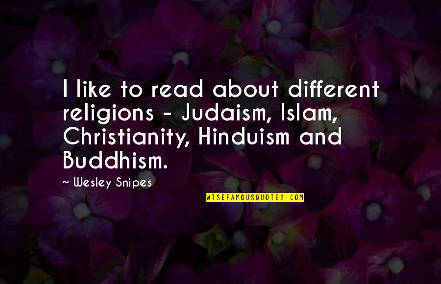 Buddhism And Christianity Quotes By Wesley Snipes: I like to read about different religions -