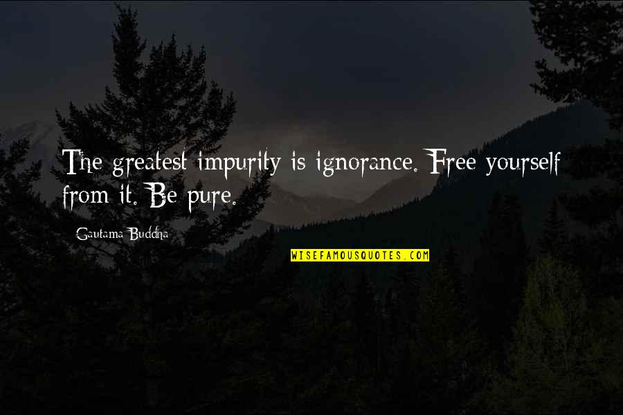 Buddhist Inspirational Quotes By Gautama Buddha: The greatest impurity is ignorance. Free yourself from