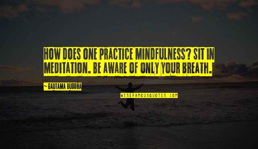 Buddhist Meditation Quotes By Gautama Buddha: How does one practice mindfulness? Sit in meditation.