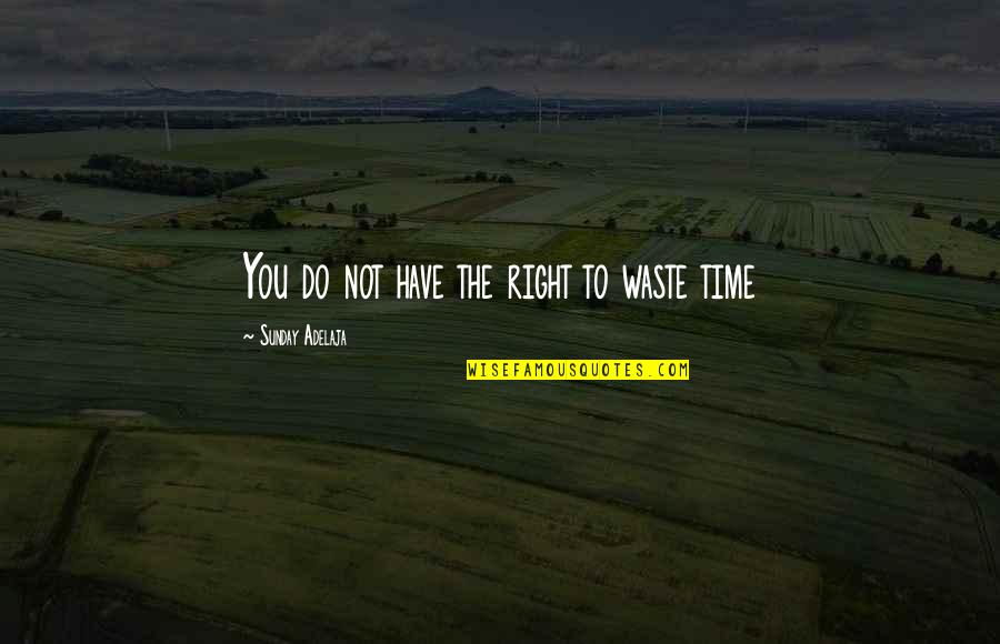 Buddhist Nirvana Quotes By Sunday Adelaja: You do not have the right to waste