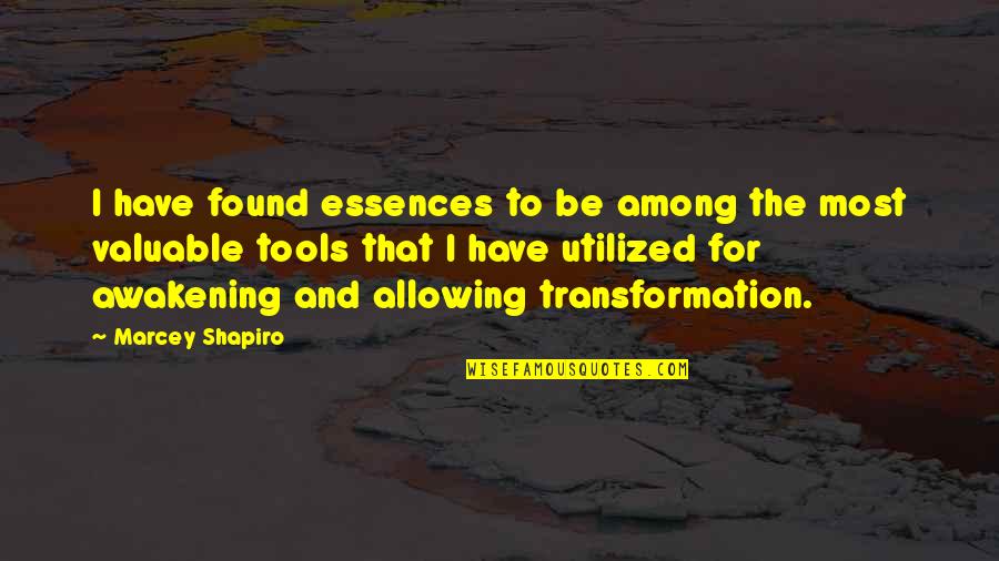 Buddhist Psychotherapy Quotes By Marcey Shapiro: I have found essences to be among the