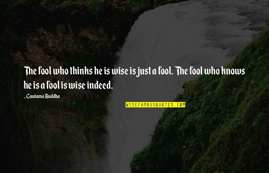 Buddhist Quotes By Gautama Buddha: The fool who thinks he is wise is