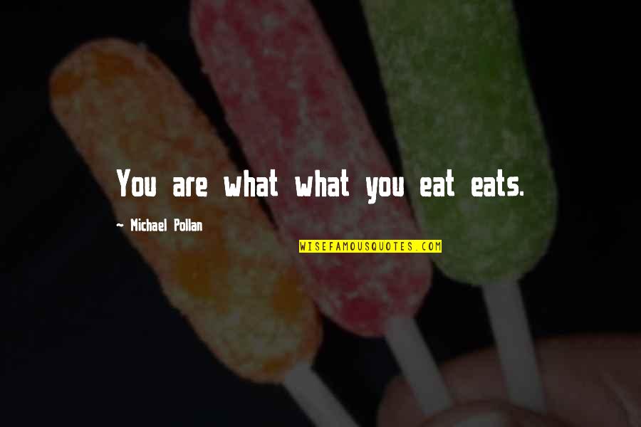 Buddhist Scholar Quotes By Michael Pollan: You are what what you eat eats.