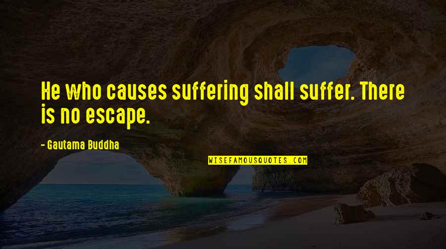 Buddhist Suffering Quotes By Gautama Buddha: He who causes suffering shall suffer. There is