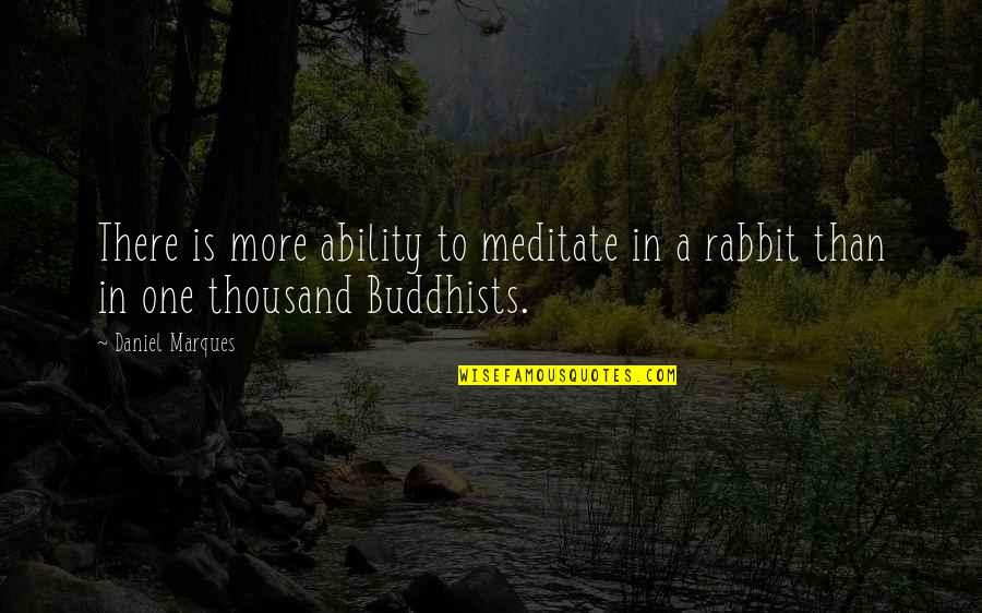 Buddhists Quotes By Daniel Marques: There is more ability to meditate in a