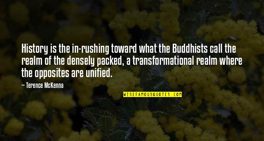 Buddhists Quotes By Terence McKenna: History is the in-rushing toward what the Buddhists Buddhists Quotes By Terence McKenna: History is the in-rushing toward what the Buddhists