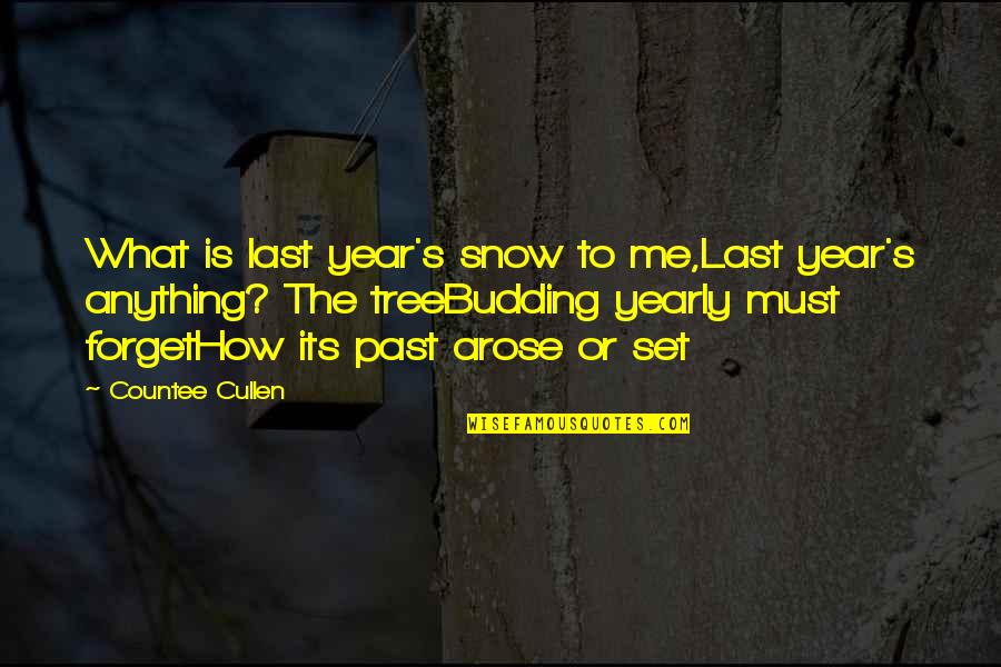 Budding Tree Quotes By Countee Cullen: What is last year's snow to me,Last year's