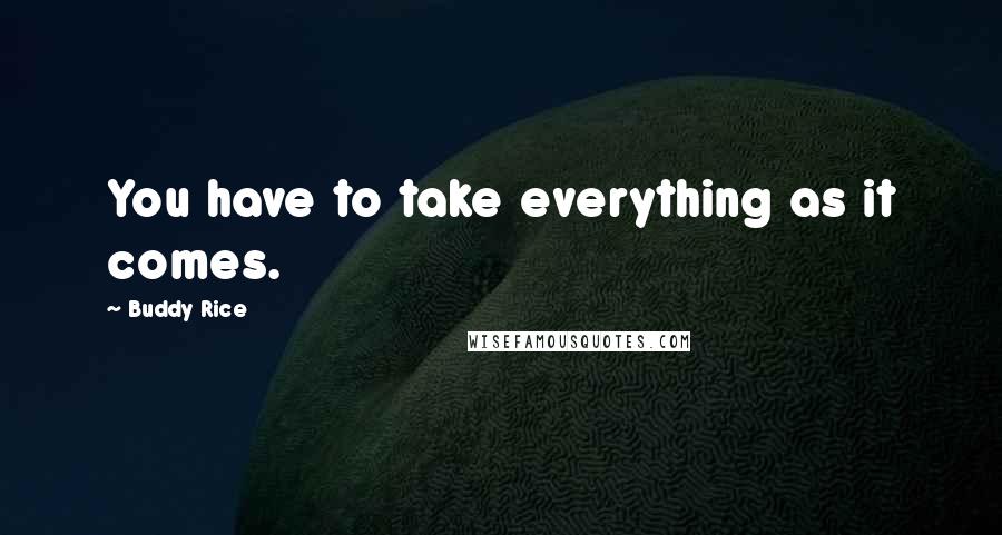 Buddy Rice quotes: You have to take everything as it comes.