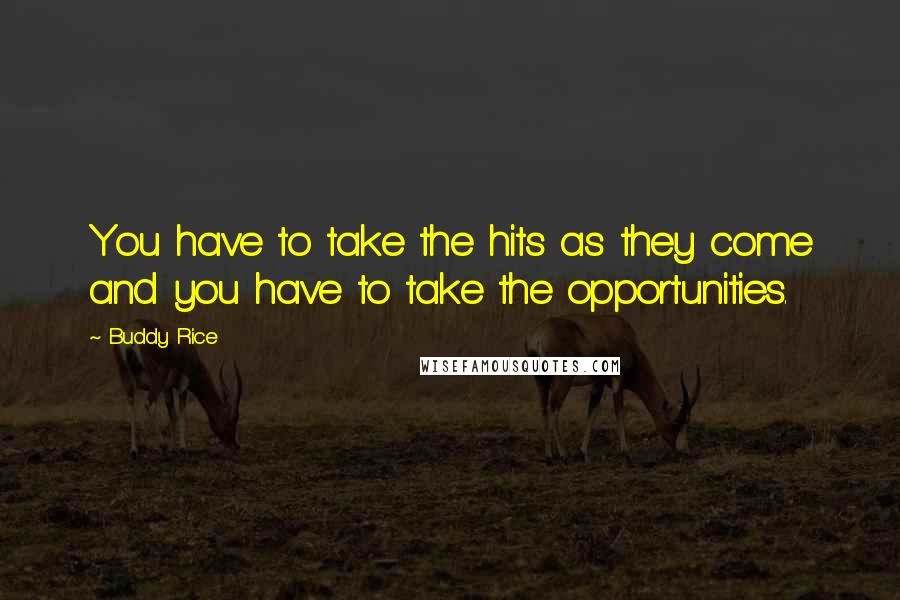 Buddy Rice quotes: You have to take the hits as they come and you have to take the opportunities.