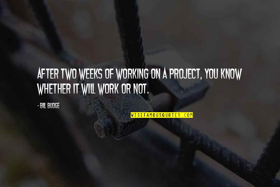 Budge An Inch Quotes By Bill Budge: After two weeks of working on a project,