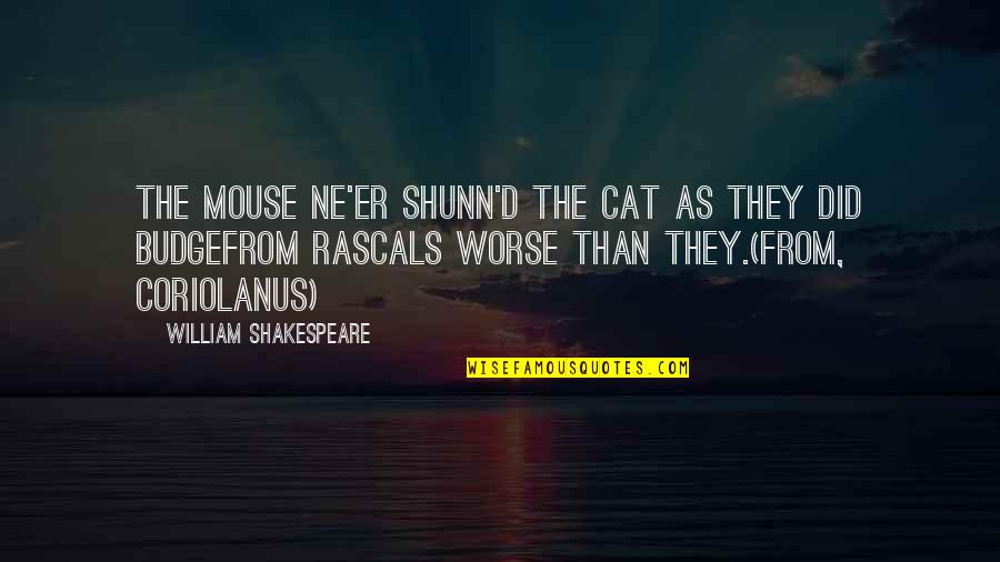 Budge An Inch Quotes By William Shakespeare: The mouse ne'er shunn'd the cat as they Budge An Inch Quotes By William Shakespeare: The mouse ne'er shunn'd the cat as they