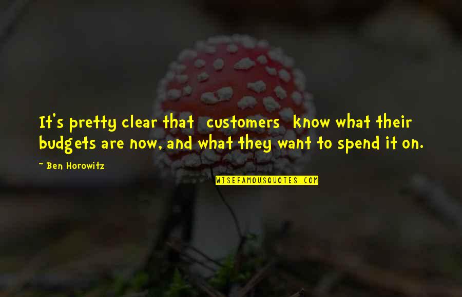 Budgets Quotes By Ben Horowitz: It's pretty clear that [customers] know what their