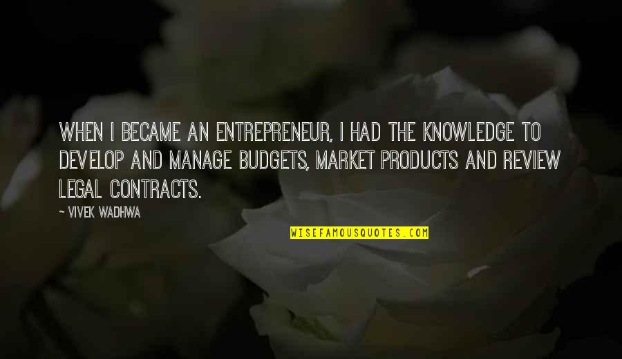 Budgets Quotes By Vivek Wadhwa: When I became an entrepreneur, I had the