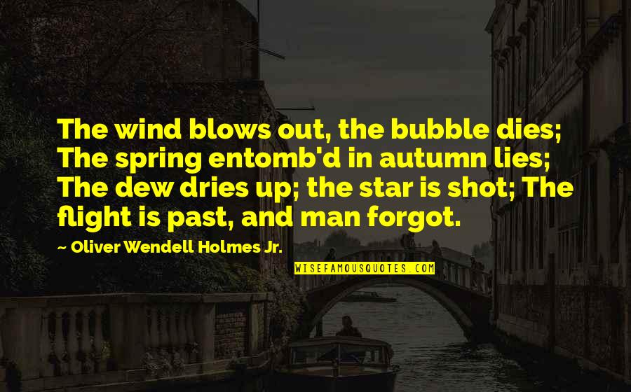 Budi Pekerti Mulia Quotes By Oliver Wendell Holmes Jr.: The wind blows out, the bubble dies; The Budi Pekerti Mulia Quotes By Oliver Wendell Holmes Jr.: The wind blows out, the bubble dies; The