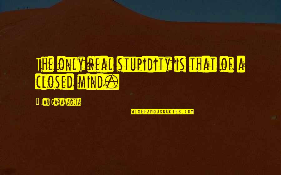 Budimlic Japra Quotes By Jan Garavaglia: The only real stupidity is that of a