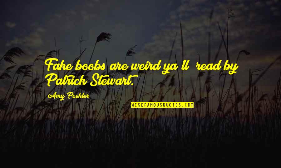 Budowa Komputera Quotes By Amy Poehler: Fake boobs are weird ya'll" read by Patrick Budowa Komputera Quotes By Amy Poehler: Fake boobs are weird ya'll" read by Patrick