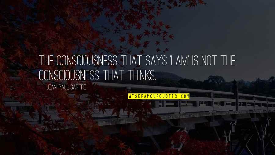 Buenger Wynndel Quotes By Jean-Paul Sartre: The consciousness that says 'I am' is not