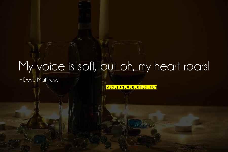 Buerstatte Pocatello Quotes By Dave Matthews: My voice is soft, but oh, my heart