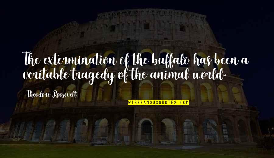 Buffalo Animal Quotes By Theodore Roosevelt: The extermination of the buffalo has been a