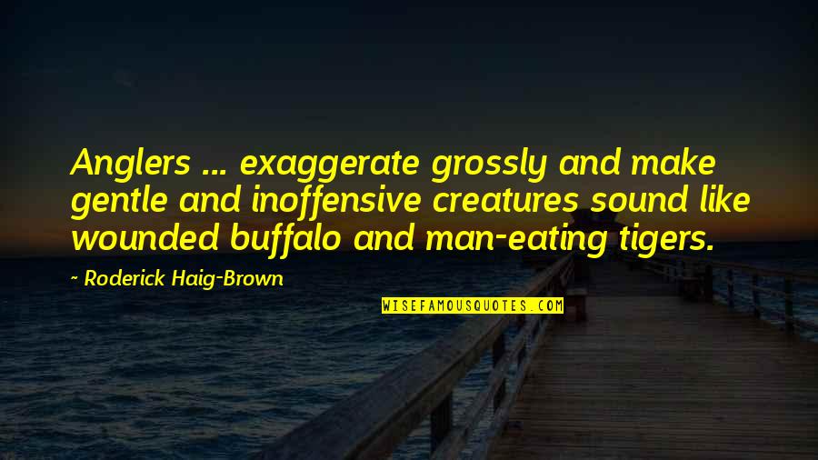 Buffalo Quotes By Roderick Haig-Brown: Anglers ... exaggerate grossly and make gentle and
