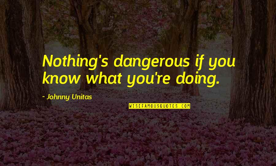 Buffets Quotes By Johnny Unitas: Nothing's dangerous if you know what you're doing.