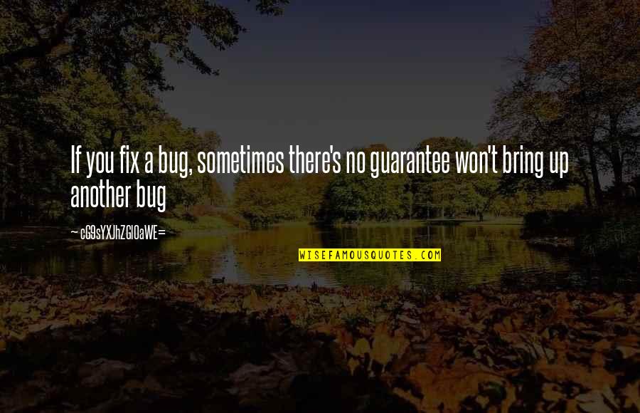 Bug Quotes By CG9sYXJhZGl0aWE=: If you fix a bug, sometimes there's no