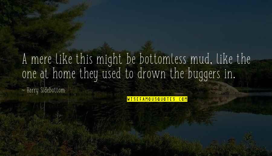 Buggers've Quotes By Harry Sidebottom: A mere like this might be bottomless mud,