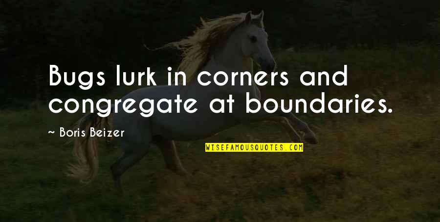 Bugs'll Quotes By Boris Beizer: Bugs lurk in corners and congregate at boundaries.