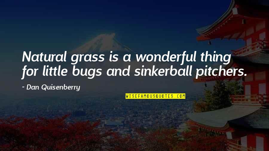 Bugs'll Quotes By Dan Quisenberry: Natural grass is a wonderful thing for little