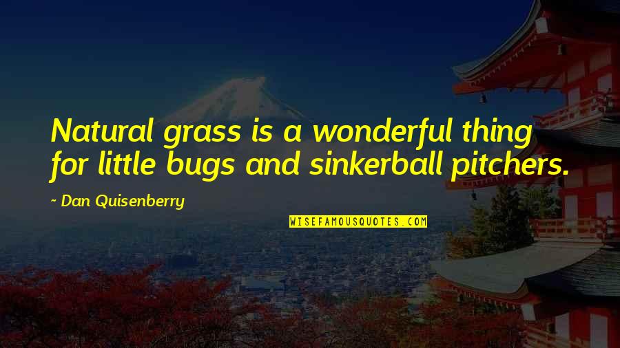 Bugs's Quotes By Dan Quisenberry: Natural grass is a wonderful thing for little