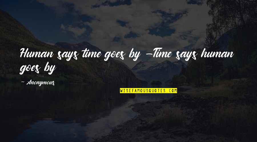 Buhner Quotes By Anonymous: Human says time goes by -Time says human