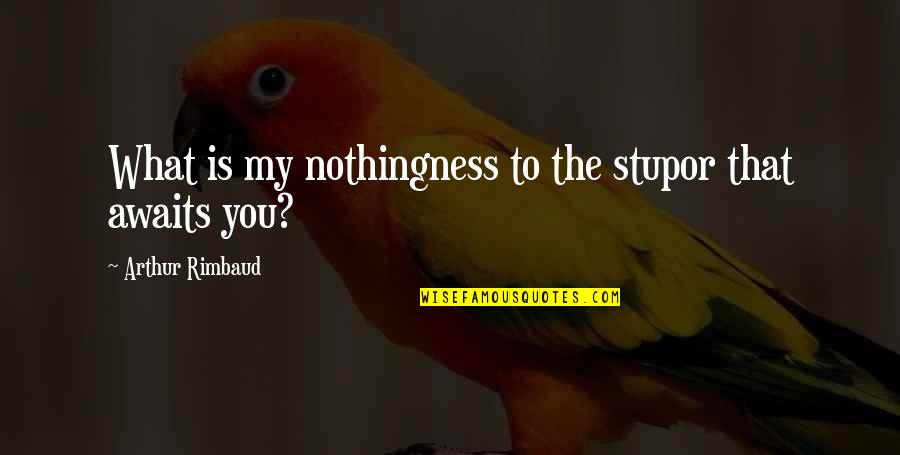 Buika Concha Quotes By Arthur Rimbaud: What is my nothingness to the stupor that Buika Concha Quotes By Arthur Rimbaud: What is my nothingness to the stupor that