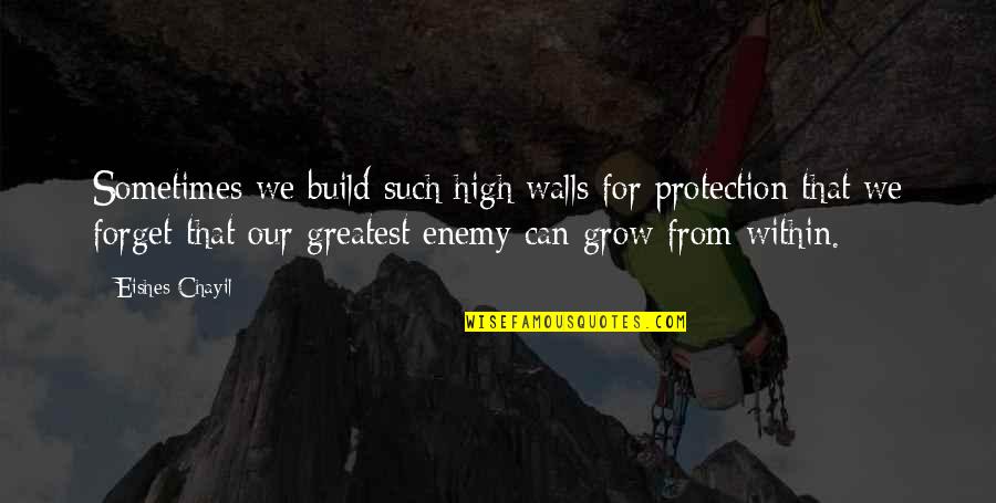Build And Grow Quotes By Eishes Chayil: Sometimes we build such high walls for protection Build And Grow Quotes By Eishes Chayil: Sometimes we build such high walls for protection