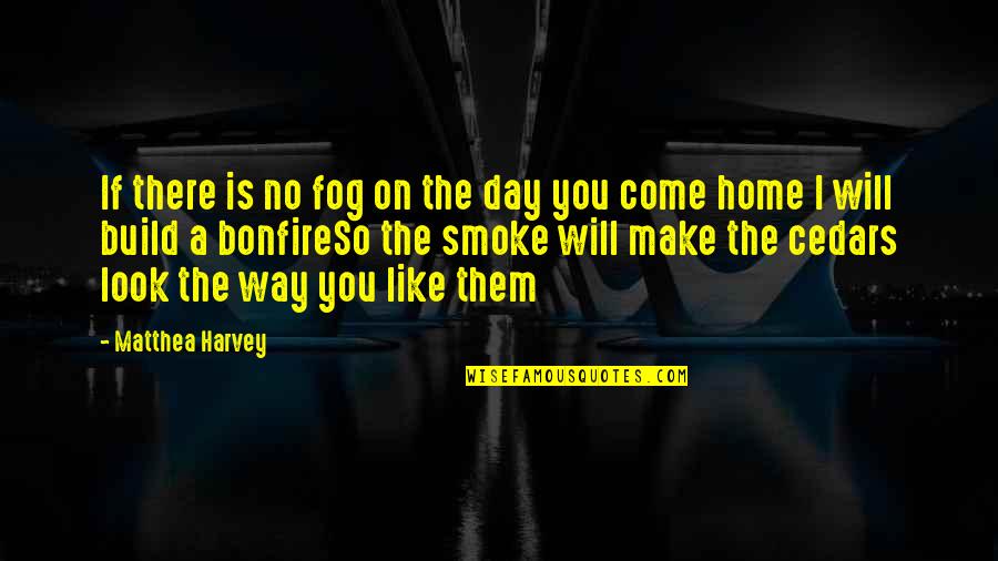 Build It And They Will Come Quotes By Matthea Harvey: If there is no fog on the day