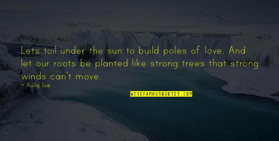 Build Quotes And Quotes By Auliq Ice: Lets toil under the sun to build poles