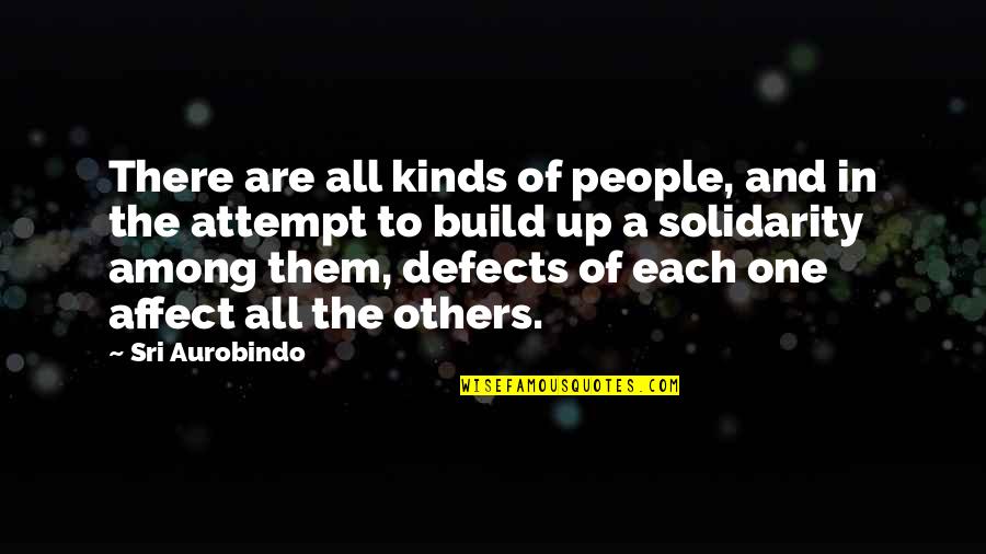 Build Them Up Quotes By Sri Aurobindo: There are all kinds of people, and in