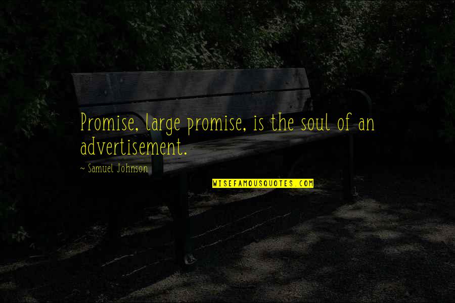 Build Trust Quote Quotes By Samuel Johnson: Promise, large promise, is the soul of an