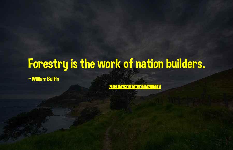 Builder Quotes By William Bulfin: Forestry is the work of nation builders.
