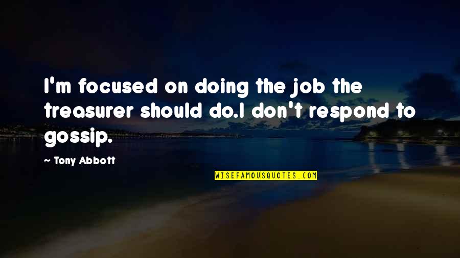 Building A House From Pure Heart Quotes By Tony Abbott: I'm focused on doing the job the treasurer