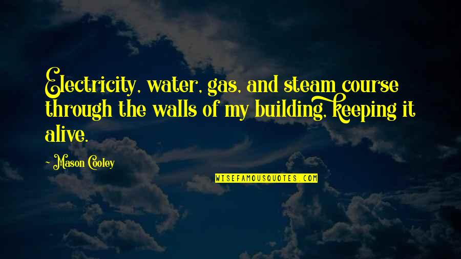 Building A Wall Quotes By Mason Cooley: Electricity, water, gas, and steam course through the