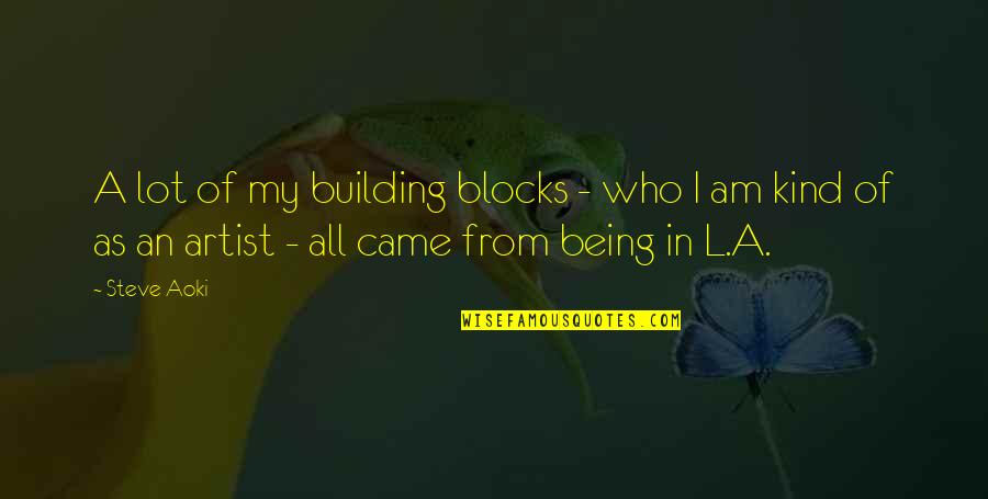 Building Blocks Quotes By Steve Aoki: A lot of my building blocks - who
