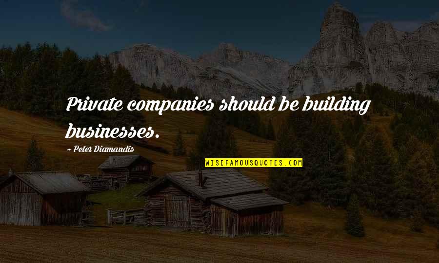 Building Companies Quotes By Peter Diamandis: Private companies should be building businesses.
