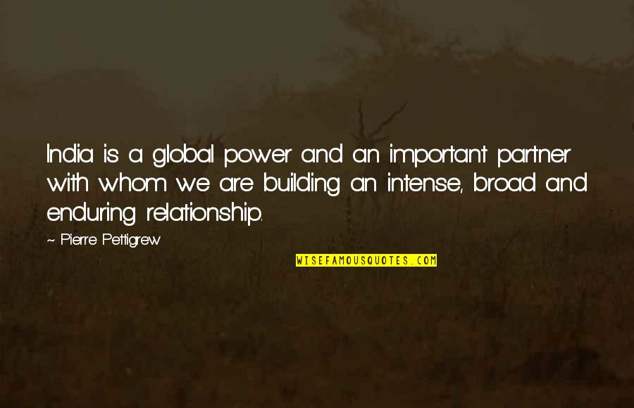 Building In A Relationship Quotes By Pierre Pettigrew: India is a global power and an important