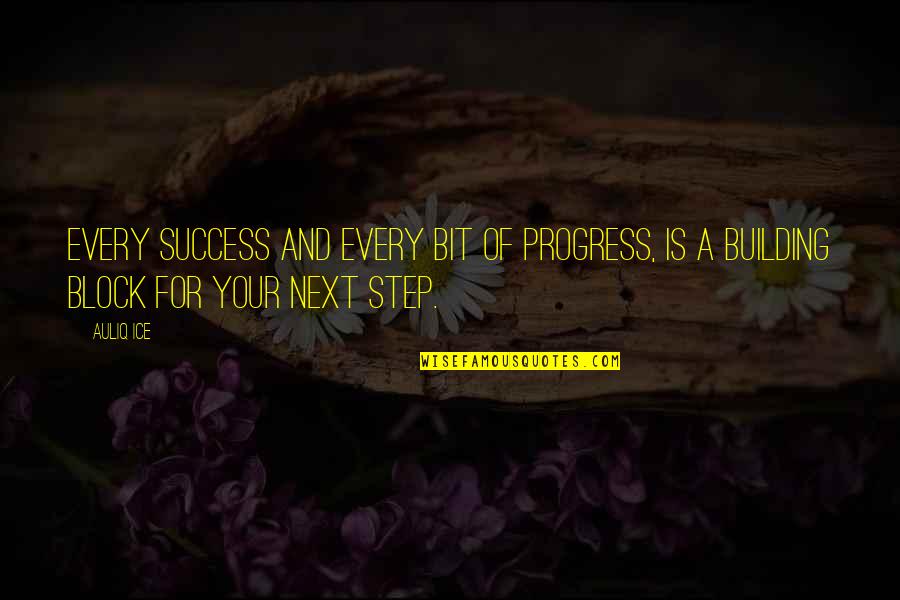 Building On Success Quotes By Auliq Ice: Every success and every bit of progress, is