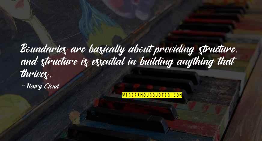 Building Structure Quotes By Henry Cloud: Boundaries are basically about providing structure, and structure