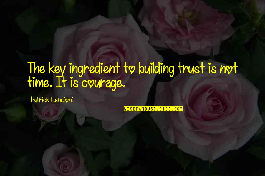 Building Trust Quotes By Patrick Lencioni: The key ingredient to building trust is not