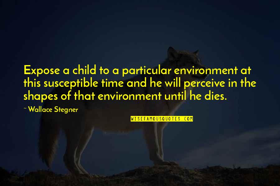 Building Up And Tearing Down Quotes By Wallace Stegner: Expose a child to a particular environment at